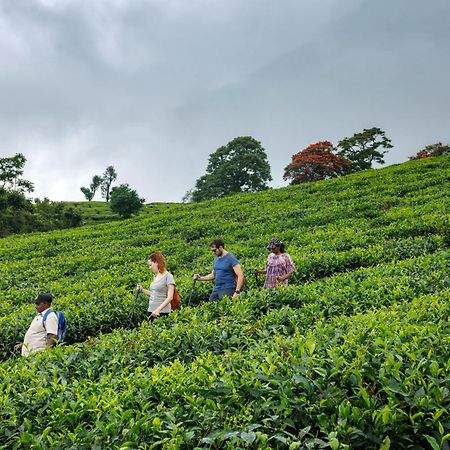 Amber Dale Luxury Hotel & Spa, Munnar Luaran gambar