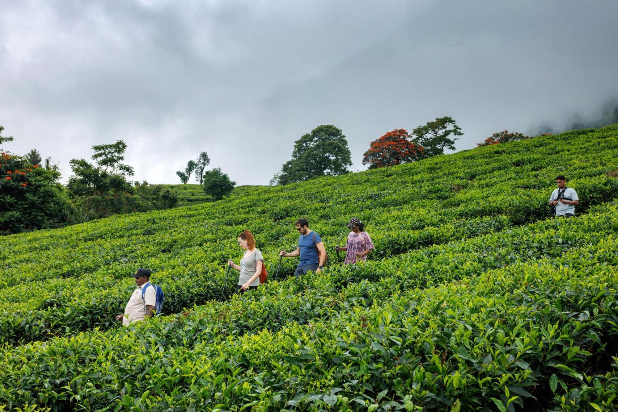 Amber Dale Luxury Hotel & Spa, Munnar Luaran gambar