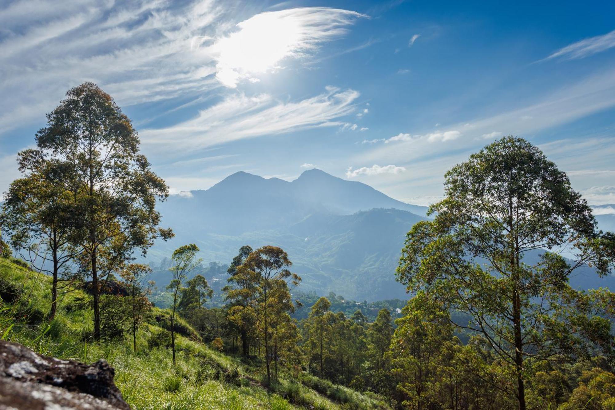 Amber Dale Luxury Hotel & Spa, Munnar Luaran gambar