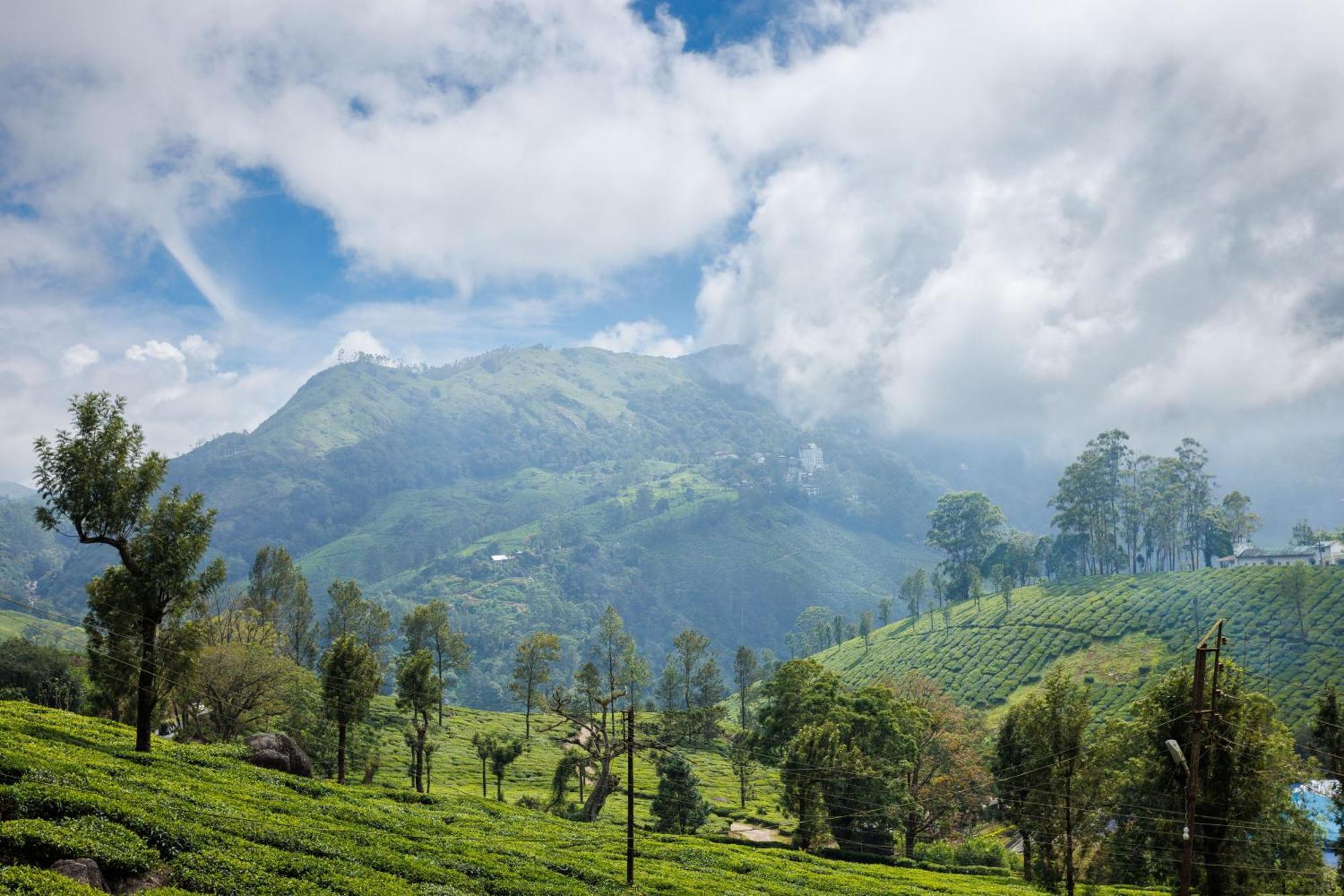 Amber Dale Luxury Hotel & Spa, Munnar Luaran gambar