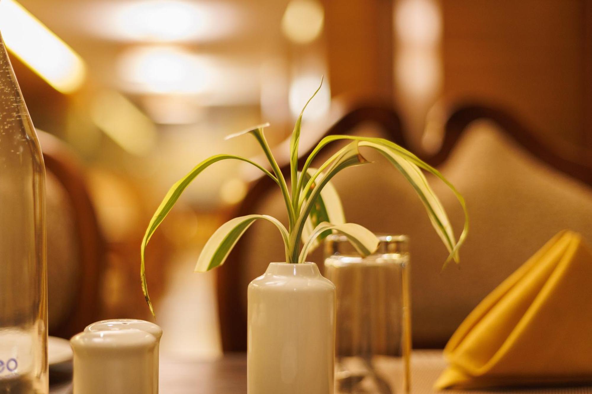 Amber Dale Luxury Hotel & Spa, Munnar Luaran gambar