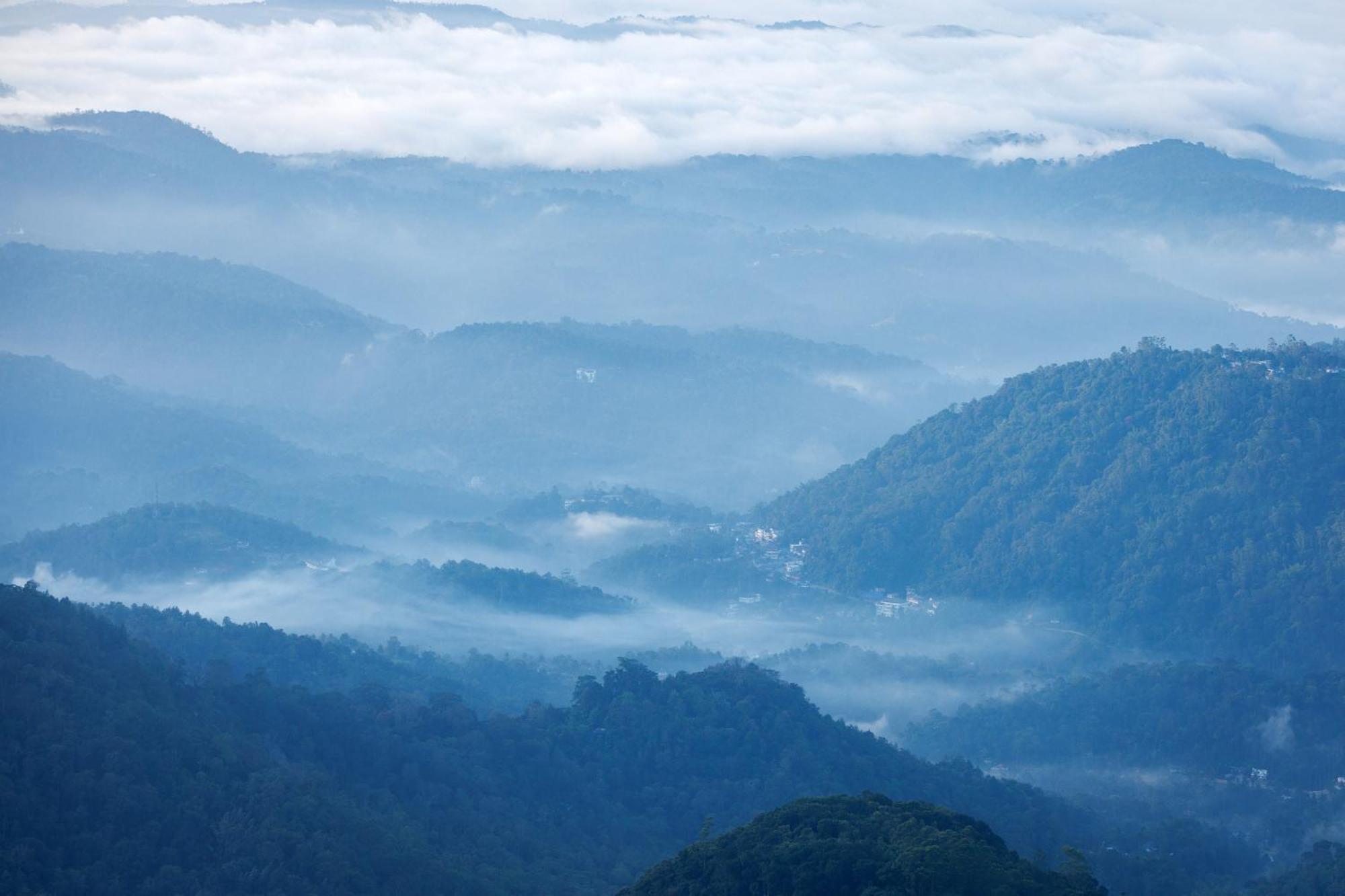 Amber Dale Luxury Hotel & Spa, Munnar Luaran gambar